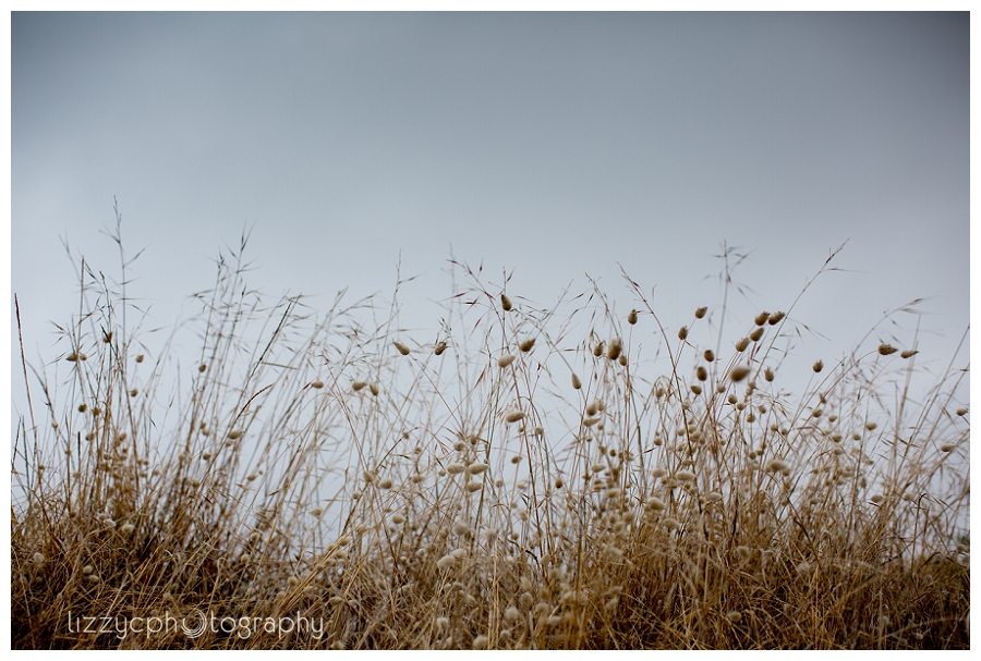 Mantra_Lorne_Wedding_0314.jpg Mantra_Lorne_Wedding_0314.jpg