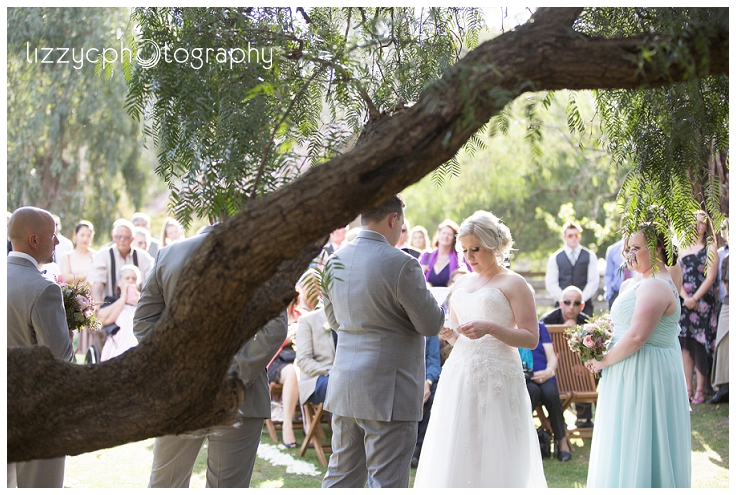 Davies1014_0146.jpg Davies1014_0146.jpg