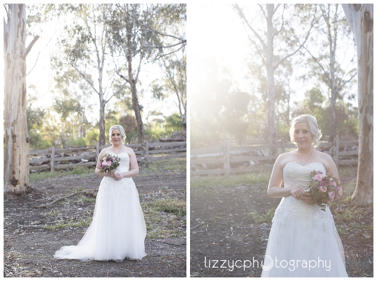 Davies1014_0253.jpg Davies1014_0253.jpg