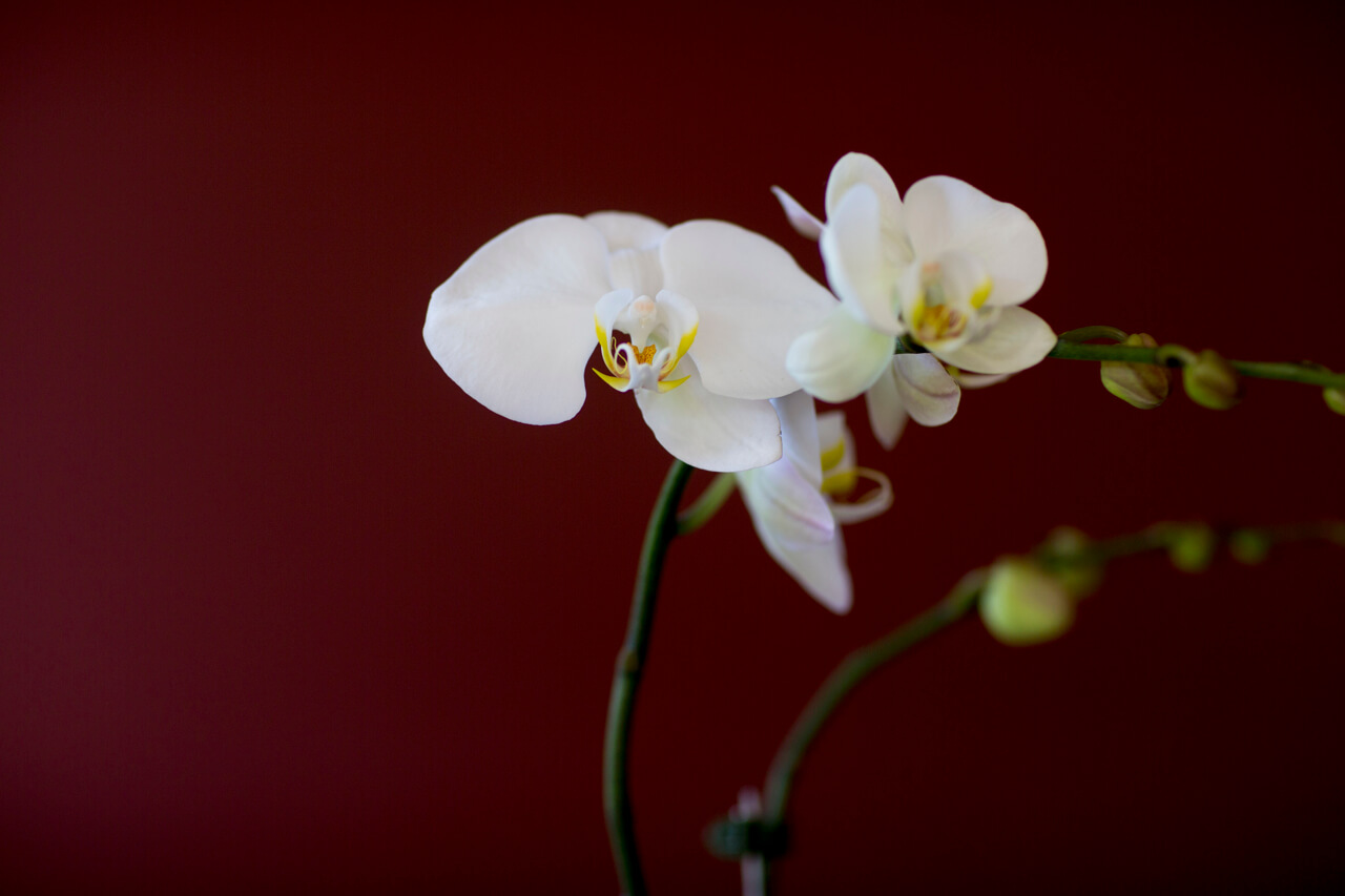 Detail image of thoughtful details in nursing home